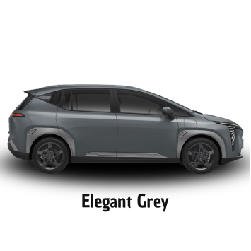 Elegant Grey 1